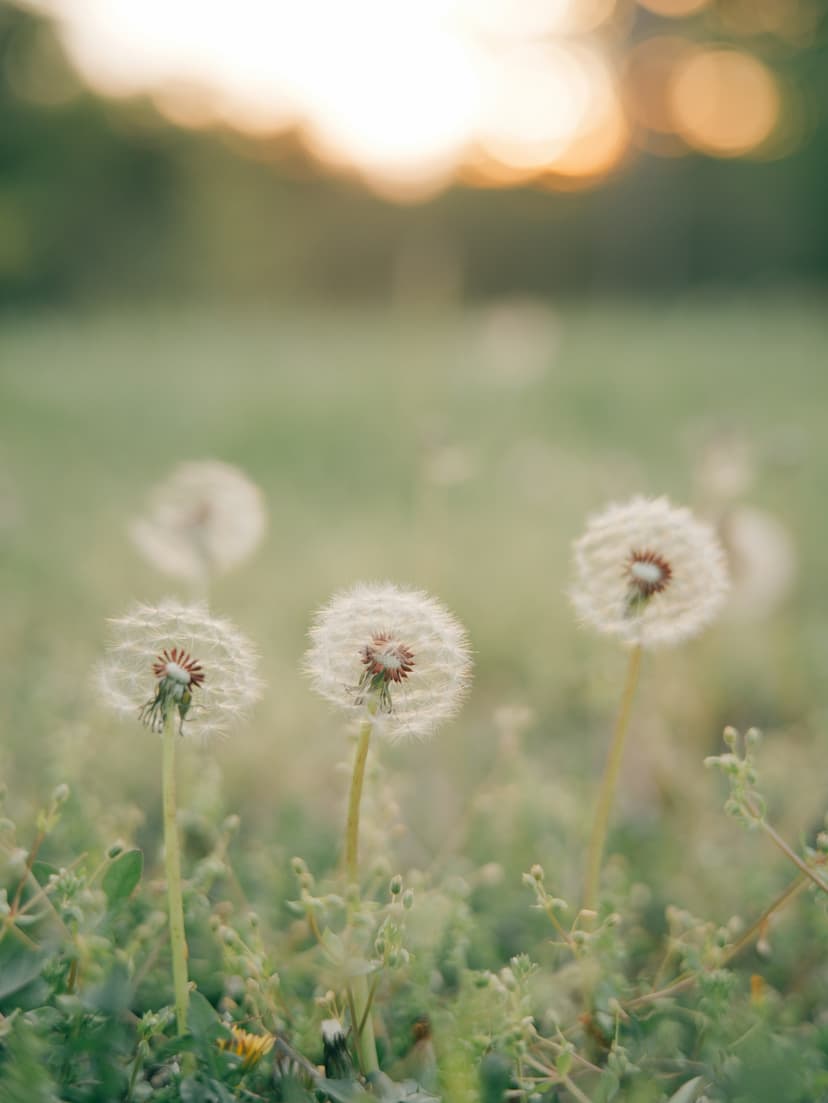 Jak założyć jednoosobową działalność gospodarczą w 2025 r. — przewodnik krok po kroku