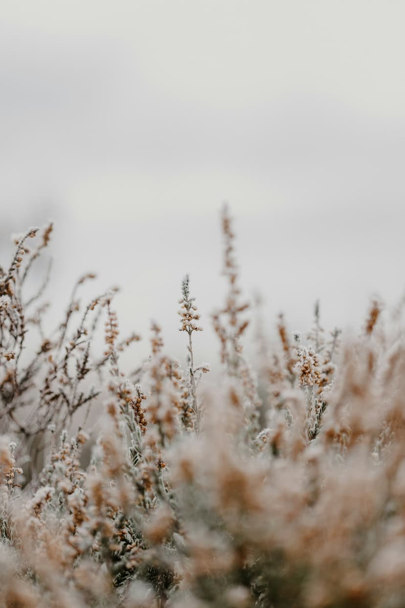 Upadłość konsumencka 2025 – progi i terminy dla zadłużonych konsumentów