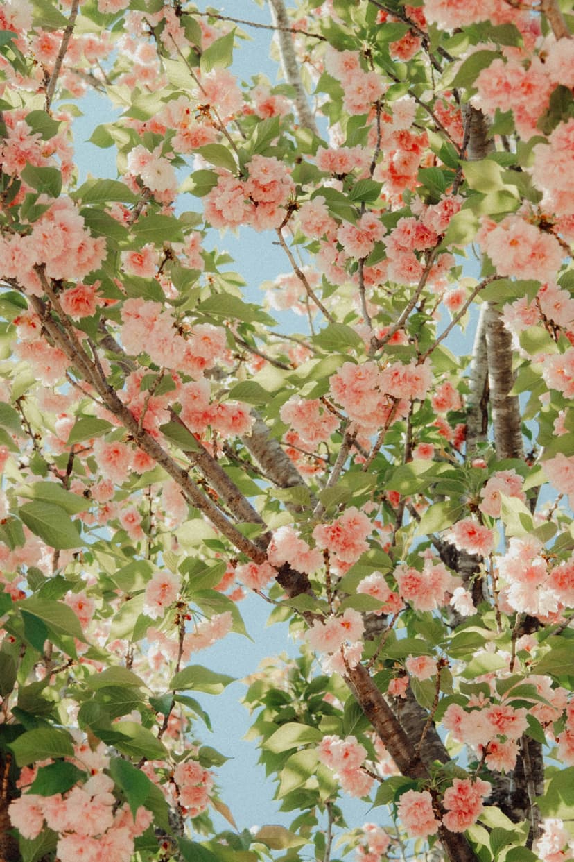 Projekt polskiej ustawy o systemach sztucznej inteligencji (“AI Systems Act”) – co musi wiedzieć biznes w 2025 r.