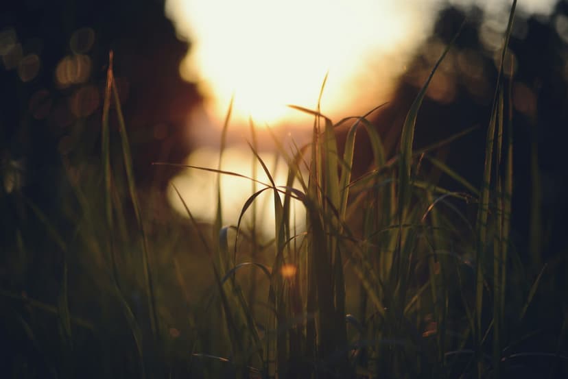 Zwolnienie małego przedsiębiorcy z VAT w UE – jak działa zasada 2025