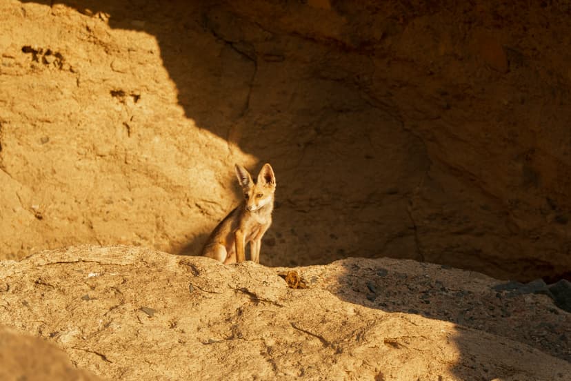 Odszkodowanie za naruszenie danych osobowych 2025 – kiedy konsument może pozwać na RODO?